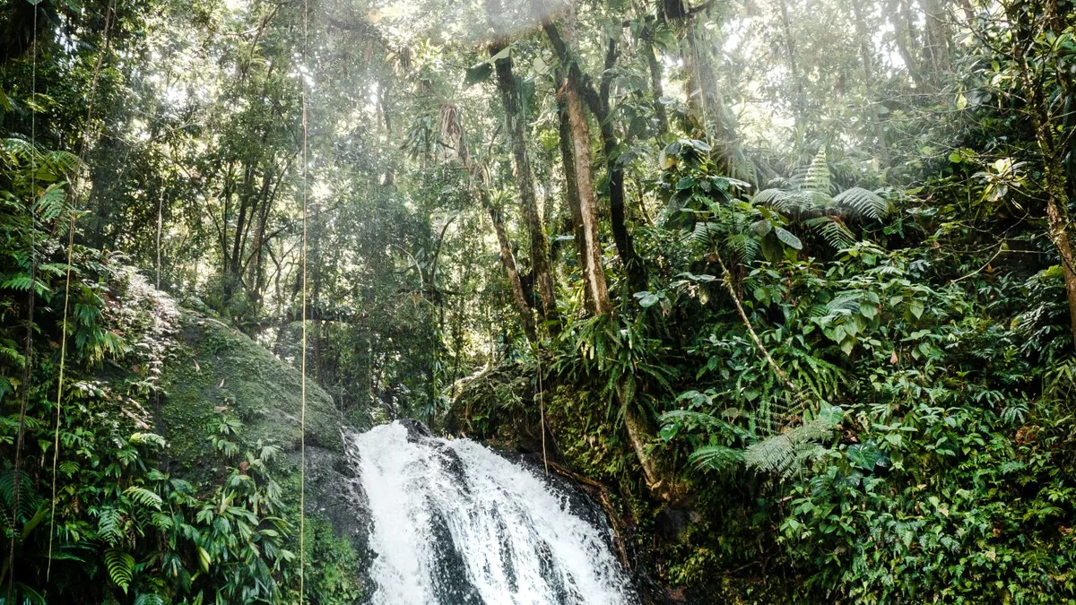 Nature & Sites Incontournables